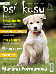 Psí kusy Psí kusy