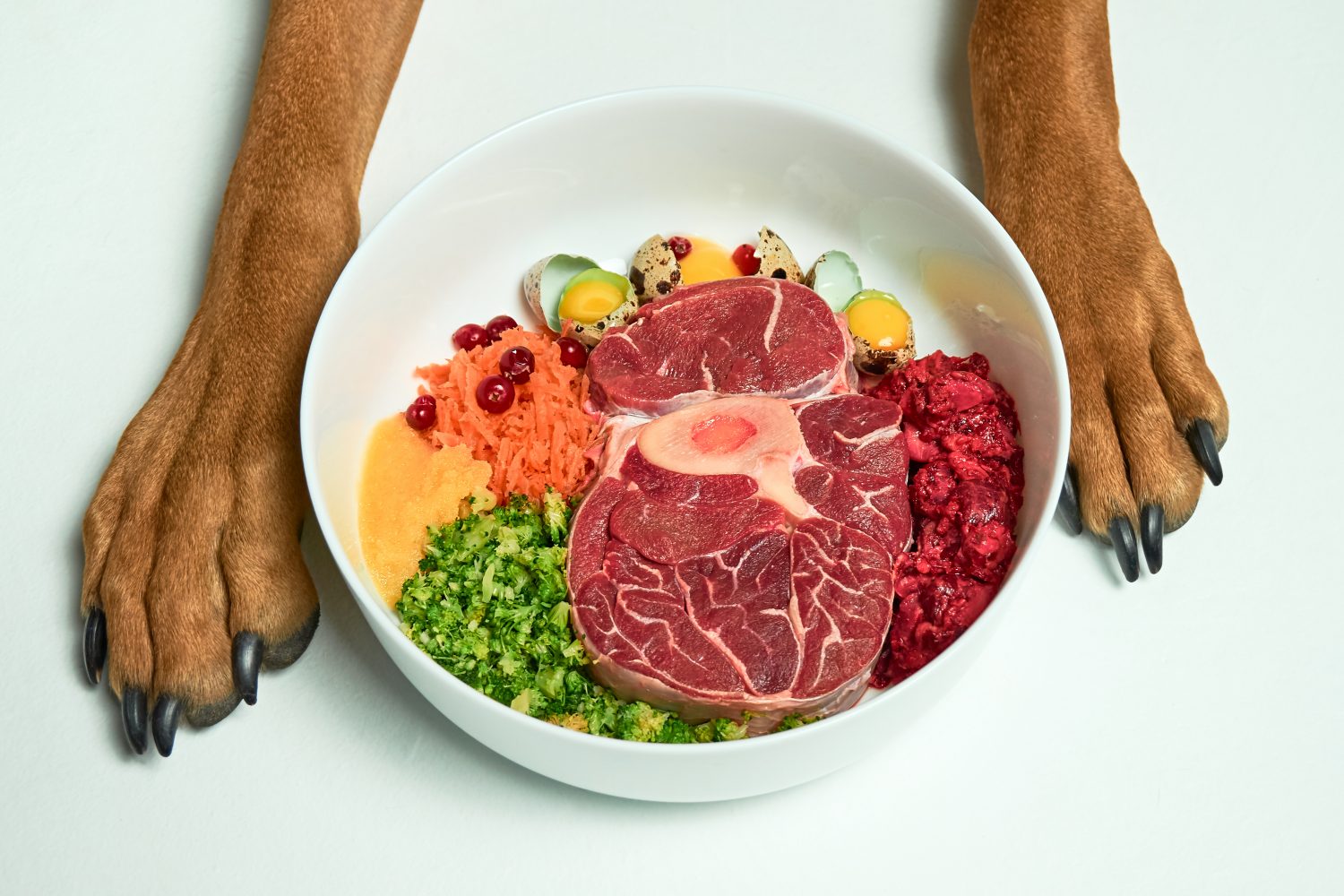 Jak vařit maso pro psy?