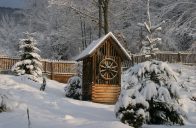 Pro zahradu je sníh hřejivou přikrývkou, ale pro větve dřevin může znamenat vysokou zátěž