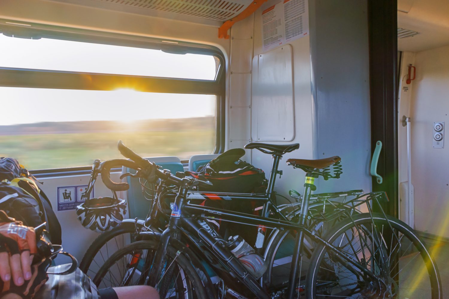 Mezi povinnosti dopravních společností patří také informování o přepravě imobilních cestujících, domácích mazlíčků, jízdních kol a dalších zavazadel. Foto: Shutterstock