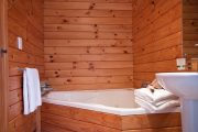 Chcete-li přizpůsobit vzhled koupelny typické české chatě, vyberte i obkladové palubky z borovice či modřínu s vyšším obsahem pryskyřice. Foto: Shutterstock