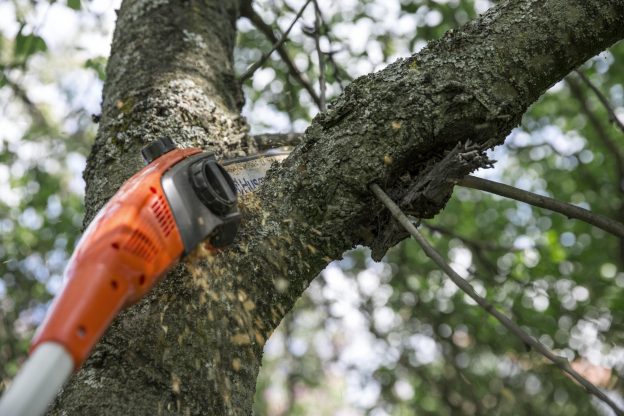 I poměrně krátká lišta si poradí se silnou větví (Foto: Husqvarna)