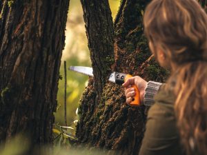 Ruční pilkou lze odříznout větev těsně u kmene (Foto: Fiskars)