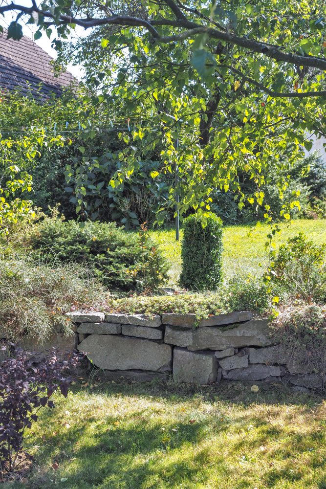 Různé úrovně zahrady vyrovnává nízká opěrná zídka z nasucho skládaných kamenů, nahoře porostlá netřesky. Foto: Pavel Veselý