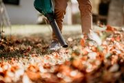 Fukary a zahradní vysavače jsou pro drobný hmyz a mikroorganismy pohromou