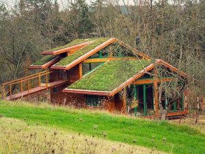 Díky zelené střeše dům splývá s okolní přírodou