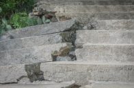 Poničené kamenné schodiště