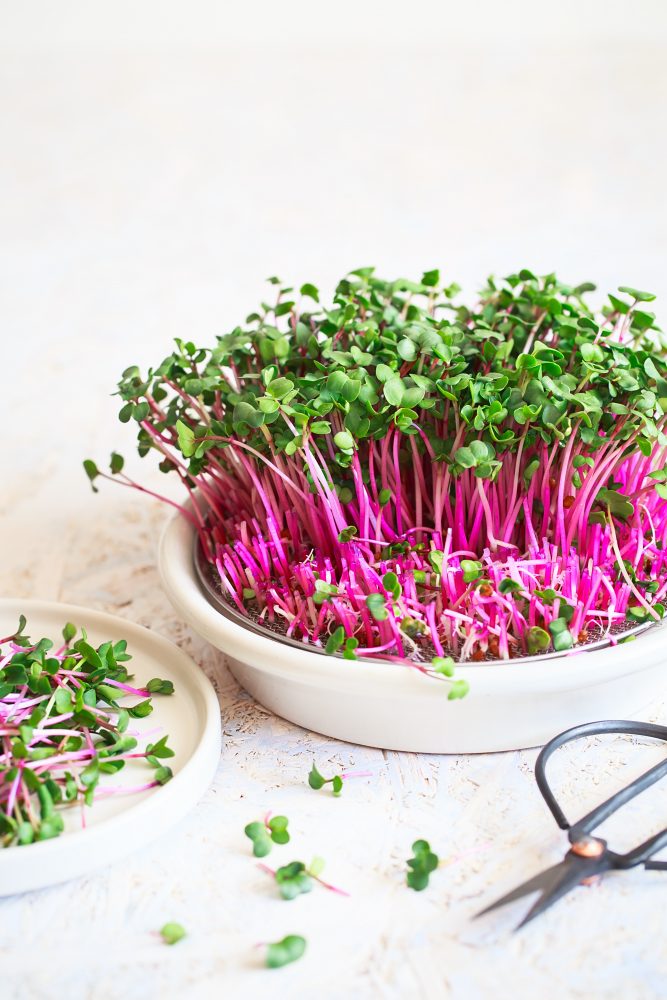 Microgreens