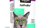 CatProBio® 65 g, probiotická směs pro kočky