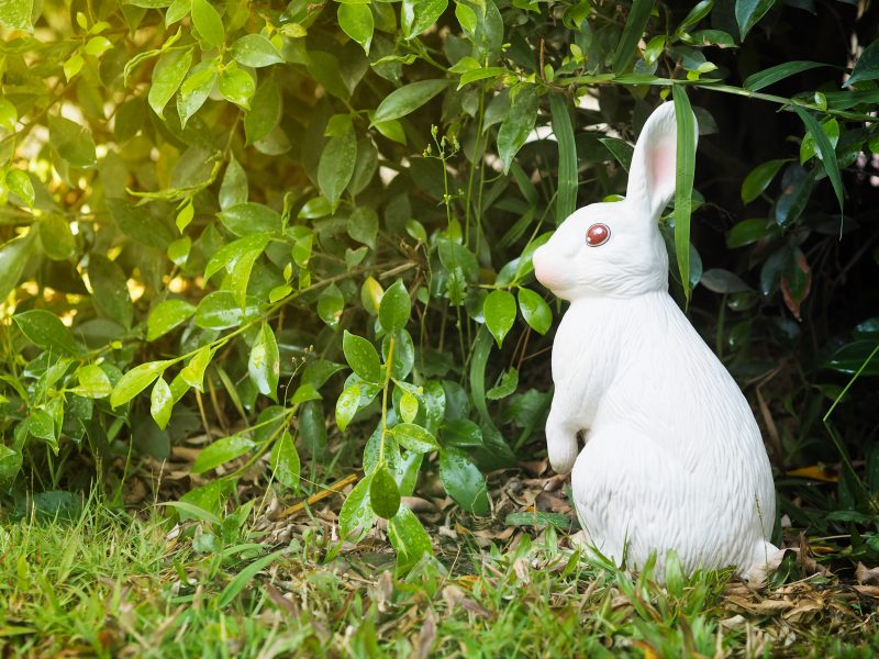 keramický králík v zahradě