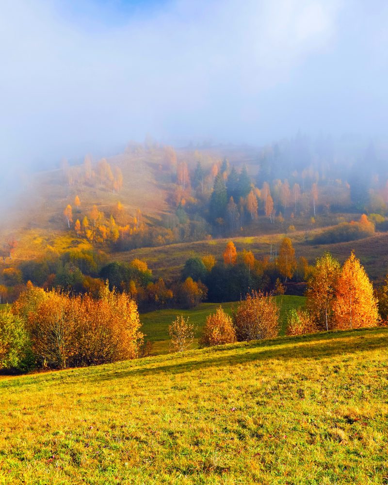 podzimní krajina v mlze