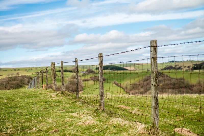 uzlové, lesnické či farmářské pletivo