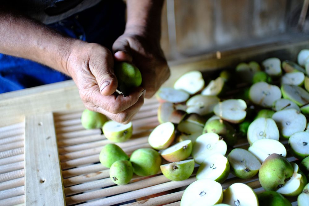 příprava ovoce k tradičnímu sušení