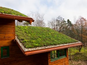 zatravněná střecha na dřevostavbě