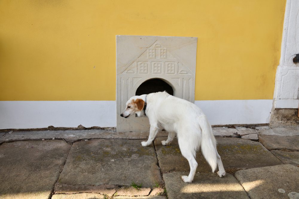 pískovcová bouda pro psa v domě