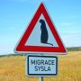migrace sysla