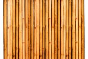 potisk s motivem bambusové zástěny