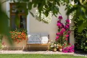 Bougainvillea, oleandry a letničky