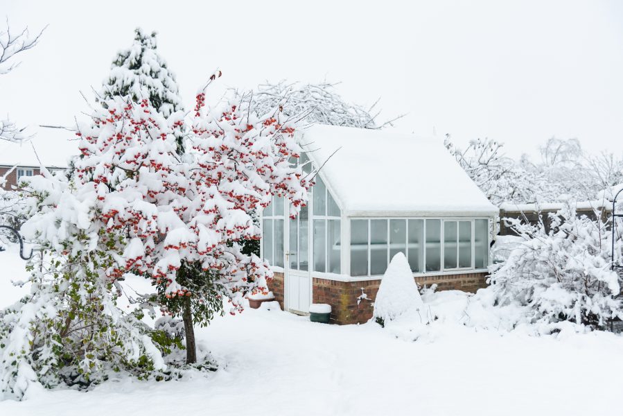 Zimní skleník