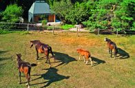 Atypická chata se světlíky