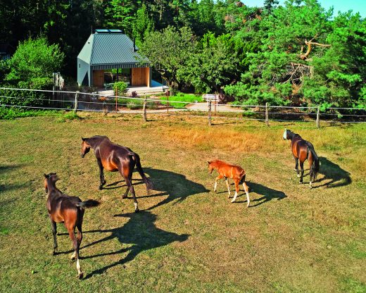 Atypická chata se světlíky