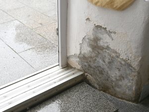 Jak zbavit dům vlhkosti