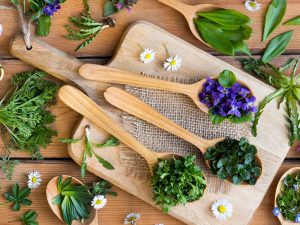 Divoké jarní bylinky