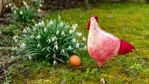 Velikonoční zahrada